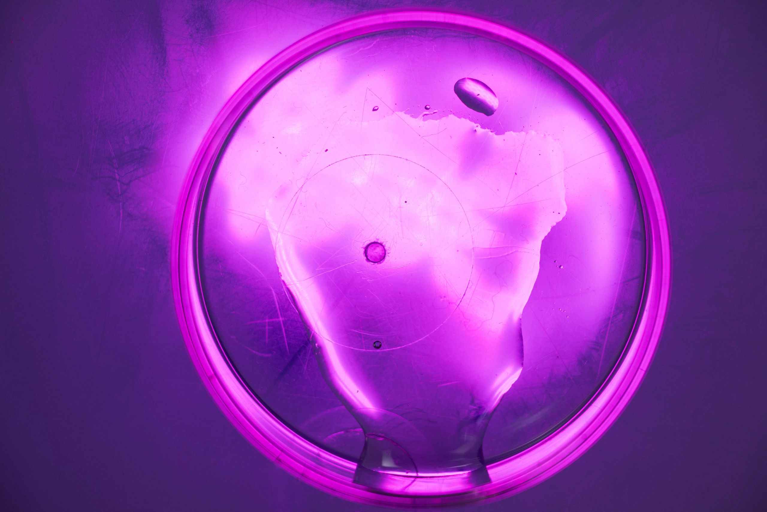 Petri dish used for laboratory research