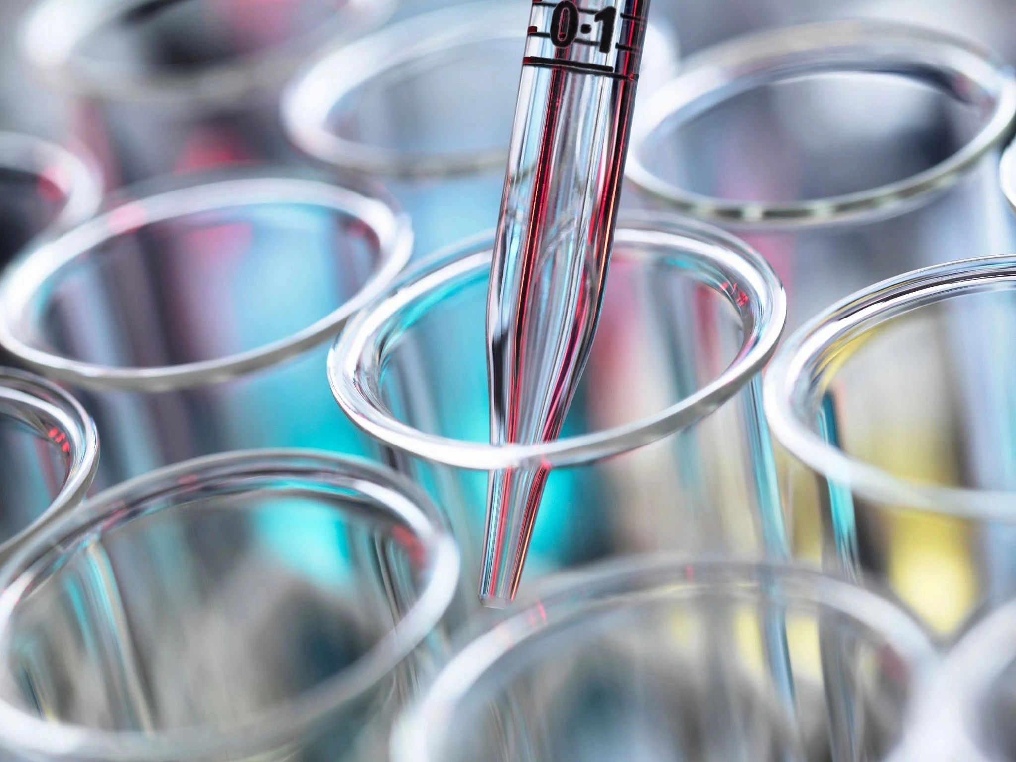 Pipette dispensing liquid into a research plate